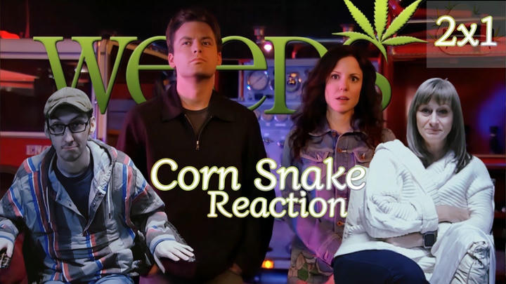 Weeds | 2x1 "Corn Snake" | Mom's First Time Watching Reaction | We're in the Basement