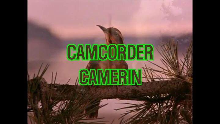 TWIN PEAKS S2E1