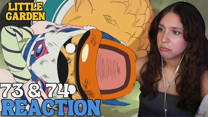 EARLY ACCESS | One Piece 73 & 74