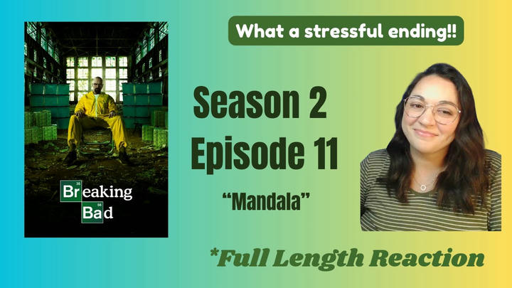 Breaking Bad 2x11 *Full Length Reaction