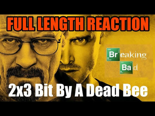 BREAKING BAD 2x3 - Full Length Reaction