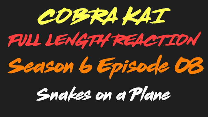 COBRA KAI 6x8 - Full Length Reaction!