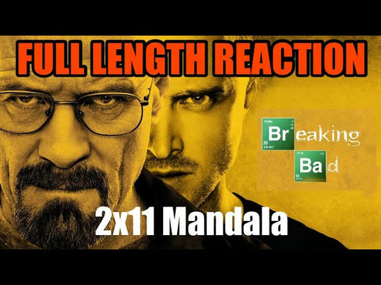 BREAKING BAD 2x11 - Full Length Reaction