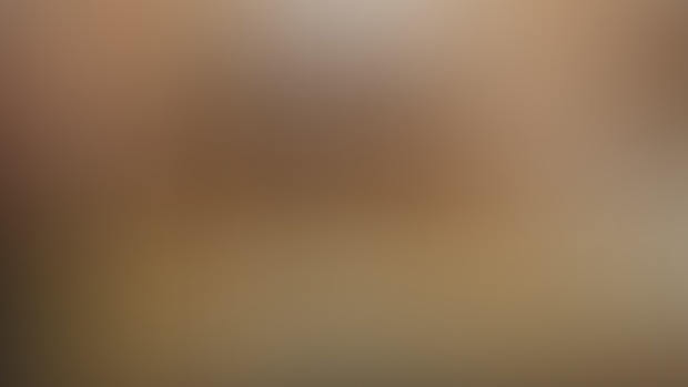 LORD OF THE RINGS: FELLOWSHIP OF THE RING