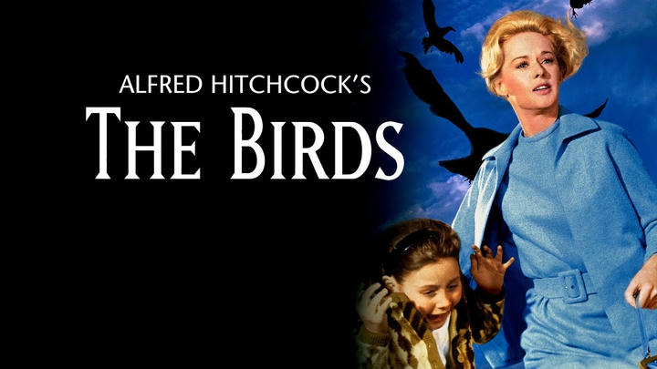 Hold Down A - The Birds (1963)