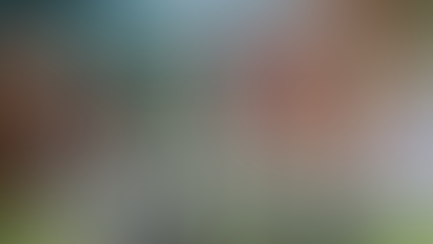 A MINECRAFT MOVIE