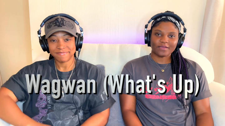 How to Train Your Dragon (2010)