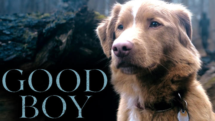 Good Boy (2025) REACTION!! (full watch along)