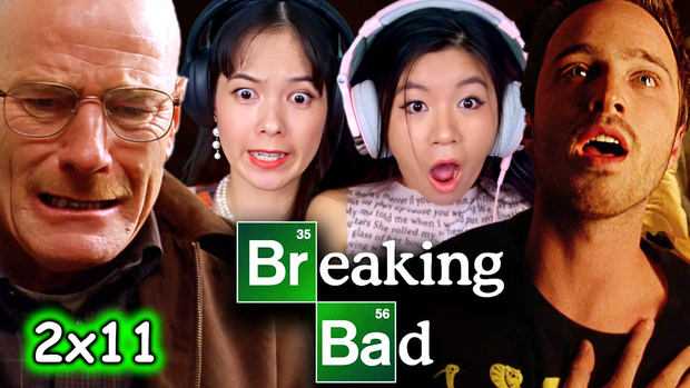 Breaking Bad 2x11 Reaction