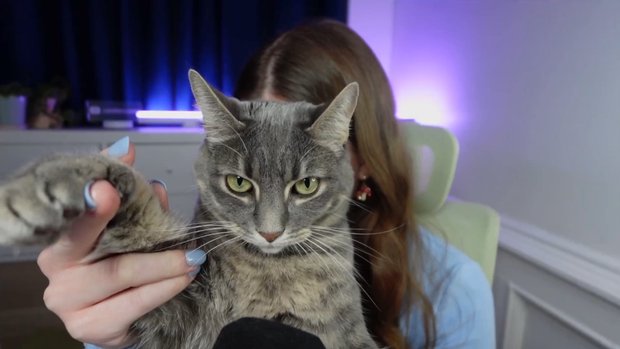 THE DARK KNIGHT - Full Length Reaction