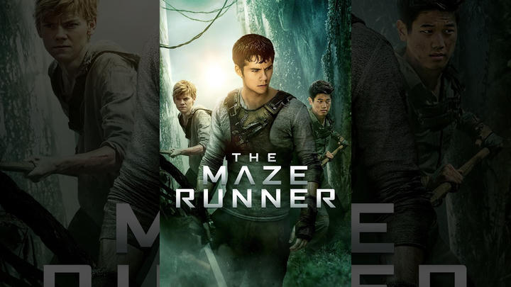 Full Reaction - The Maze Runner