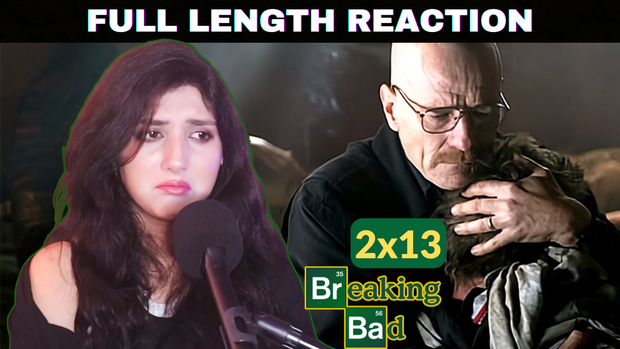 Breaking Bad 2x13 [full length watch along]