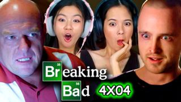 Breaking Bad 4x4 Reaction
