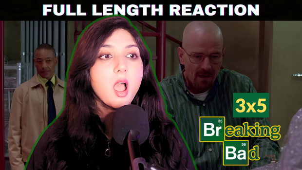 Breaking Bad 3x5 [full length reaction]