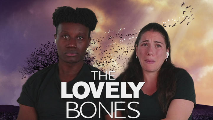 The Perfect Mix - The Lovely Bones (2009)