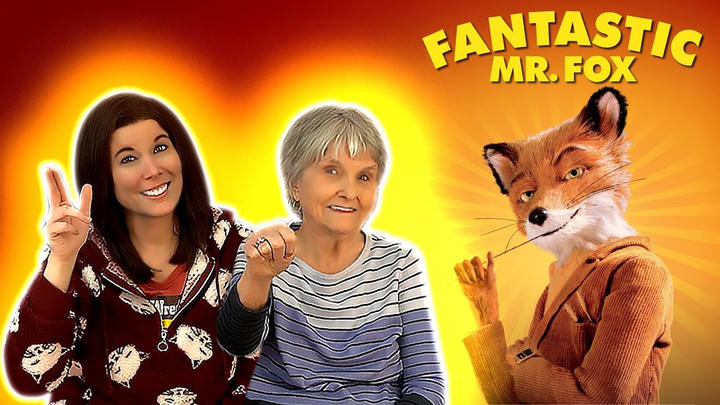 Storm Akima - Fantastic Mr. Fox (2009)