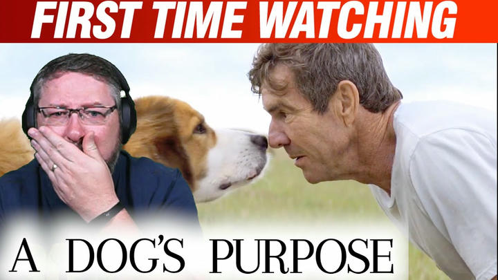 Awesome US Movies - A Dog's Purpose (2017)