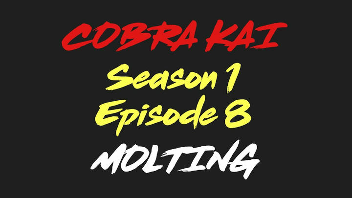 COBRA KAI 1X8