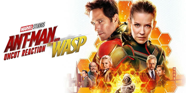 Heroes Reforged - Ant-Man and the Wasp (2018)