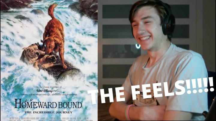 RolyPolyOllie Reactions - Homeward Bound: The Incredible Journey (1993)