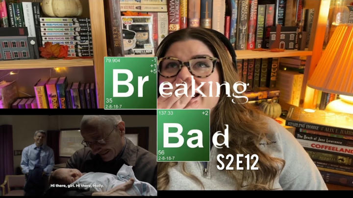 Breaking Bad 2 x 12 | Reaction + Commentary | Phoenix