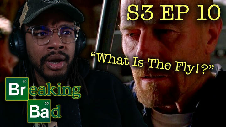 FILMMAKER REACTS to BREAKING BAD Season 3 Episode 10: Fly
