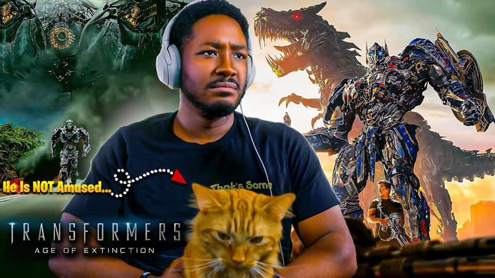 MellVerse - Transformers: Age of Extinction (2014)