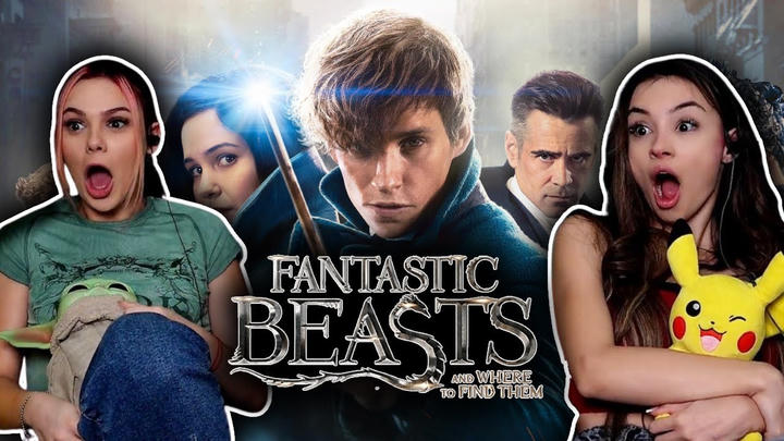 Magic Magy - Fantastic Beasts and Where to Find Them (2016)