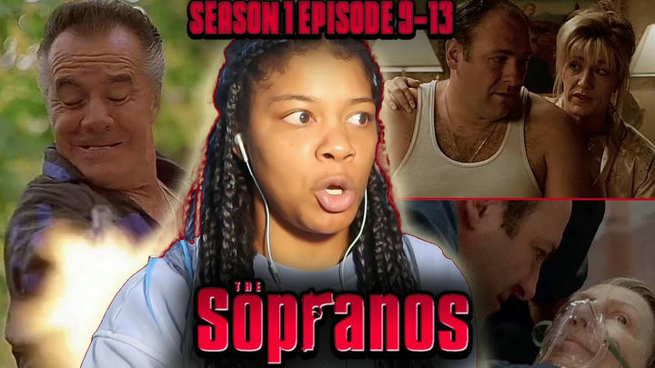 The Sopranos Season 1 ! Marathon REACTION | FINAL