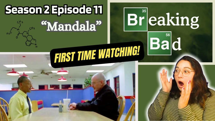 First Time Watching! BREAKING BAD REACTION 2x11 "Mandala"