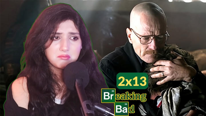 Breaking Bad 2x13 REACTION "ABQ"