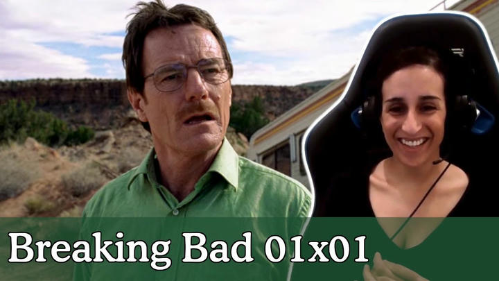 Michal Zisman - Breaking Bad (2008)
