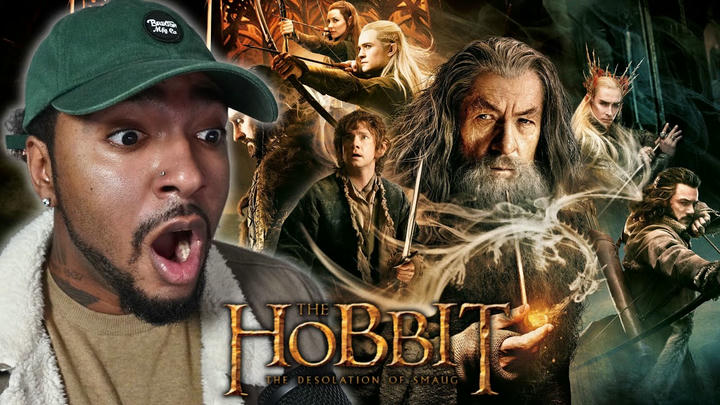 Mr FLICKS - The Hobbit: The Desolation of Smaug (2013)