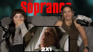 The Sopranos 2x01 “Guy Walks Into a Psychiatrist’s Office…” | First Time Reaction