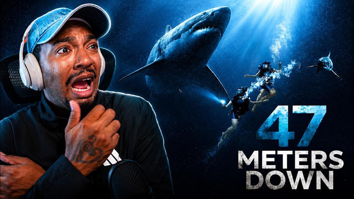 Mr FLICKS - 47 Meters Down (2017)