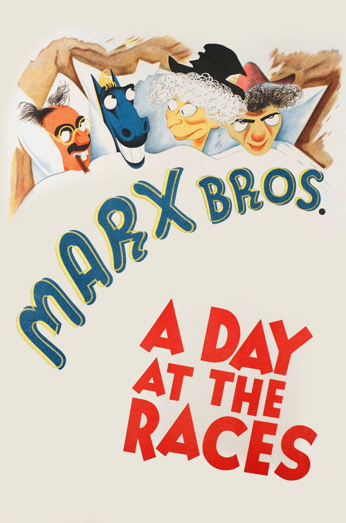 A Day at the Races (1937) poster