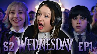 IcedQuokka - Wednesday (2022)