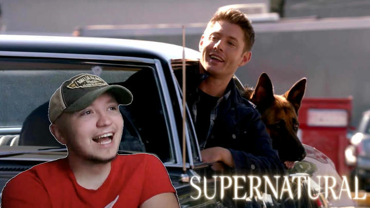 Supernatural S9E5 'Dog Dean Afternoon' REACTION