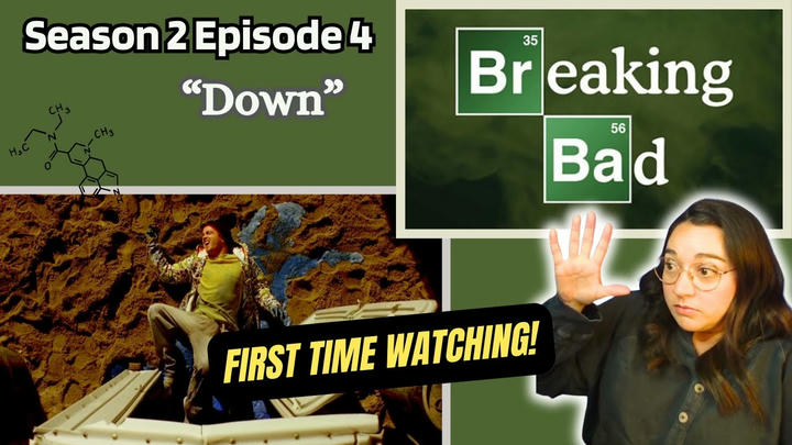 First Time Watching! BREAKING BAD REACTION 2x4 "Down"