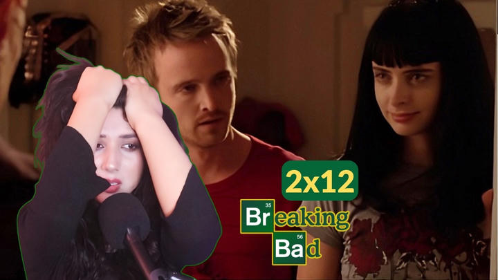 whyyyyyyyyy... Breaking Bad 2x12 REACTION "Phoenix"